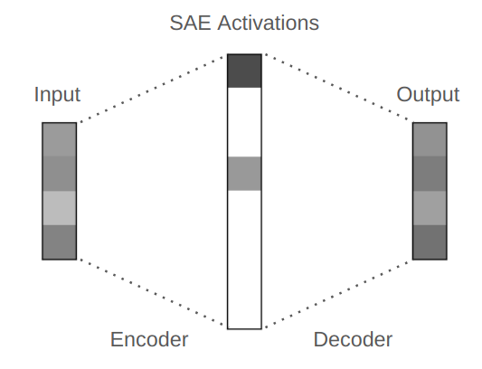 Figure 5.5 : Illustration of a sparse autoencoder (SAE), compared to that of a typical autoencoder (AE) in Figure 5.1 .