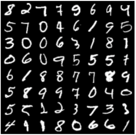 (a) MNIST 𝑿 \bm{X} bold_italic_X