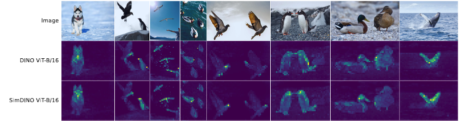 Figure 7.10 : A qualitative comparison of saliency maps generated by DINO (middle row) and by SimDINO (bottom row) . For each image, we compute and display the average saliency map in the last layer L L italic_L . The saliency maps are similar across models, meaning that all models converge to a similar notion of what objects are important. Note that although X eval X_{\mathrm{eval}} italic_X start_POSTSUBSCRIPT roman_eval end_POSTSUBSCRIPT is a square image, it is interpolated back into rectangular shape to make this visualization.