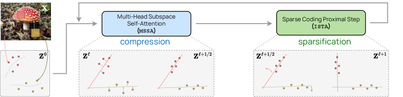 Figure 4.14 : The ‘main loop’ of the crate white-box deep network design. After encoding input data as a sequence of tokens 𝒁 0 \bm{Z}^{0} bold_italic_Z start_POSTSUPERSCRIPT 0 end_POSTSUPERSCRIPT , crate constructs a deep network that transforms the data to a canonical configuration of low-dimensional subspaces by successive compression against a local model for the distribution, generating 𝒁 ℓ + 1 / 2 \bm{Z}^{\ell+1/2} bold_italic_Z start_POSTSUPERSCRIPT roman_ℓ + 1 / 2 end_POSTSUPERSCRIPT , and sparsification against a global dictionary, generating 𝒁 ℓ + 1 \bm{Z}^{\ell+1} bold_italic_Z start_POSTSUPERSCRIPT roman_ℓ + 1 end_POSTSUPERSCRIPT . Repeatedly stacking these blocks and training the model parameters via backpropagation yields a powerful and interpretable representation of the data.