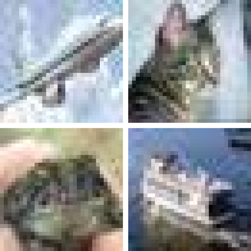 (a) ImageNet-1K samples.