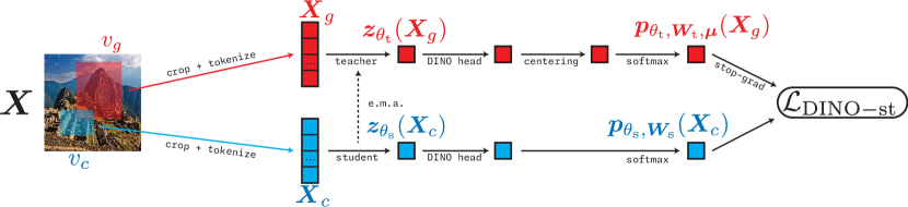 Figure 7.8 : The DINO pipeline. Student features and teacher features are computed for each input. The objective attempts to align the student features with the teacher features by projecting both sets of features into a high-dimensional probability simplex and computing a cross-entropy loss. Notably, because of the “stop-grad”, the gradient is only computed w.r.t. the student parameters’ outputs .