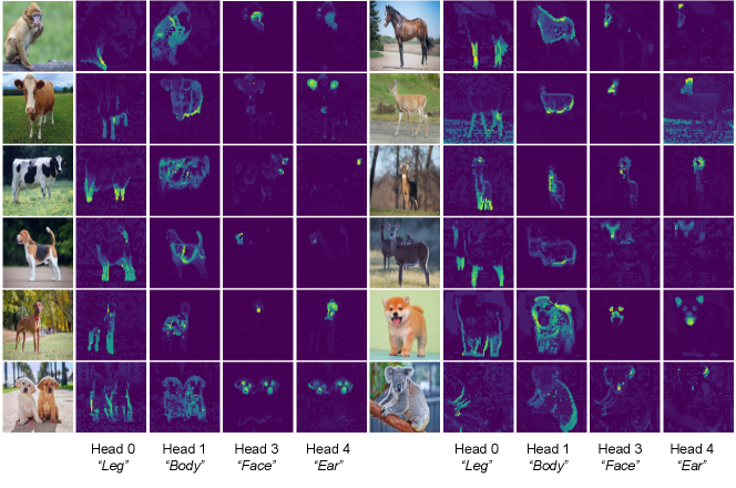 Figure 7.11 : Interpretable saliency maps in CRATE with patch size 8 8 8 . When given images with similar properties (perhaps but not necessarily from the same class), the saliency maps corresponding to different attention heads in the last layer each highlight a specific property. One can observe that the average saliency map (not included) then highlights all relevant objects in the image, showing that it uses all fine-grained details of the input image for classification. This is the first machine learning system to do this, to the authors’ knowledge, much less automatically without training on any segmentation data.