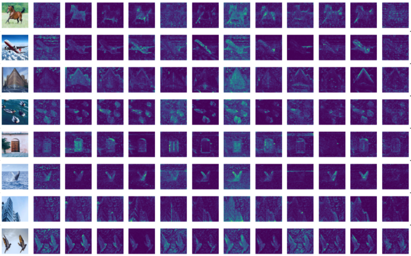 Figure 7.15 : Saliency maps from CRATE- α \alpha italic_α with patch size 8 8 8 . Each row is a different image and each column corresponds to a different attention head in the last layer. We observe that the saliency maps strongly correspond to the objects in the input image.